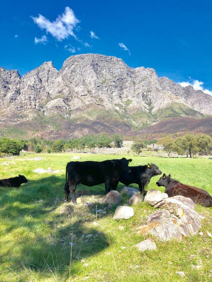 The Barn In Franschoek Guest House Franschhoek Exterior foto